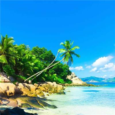 半岛综合APP下载